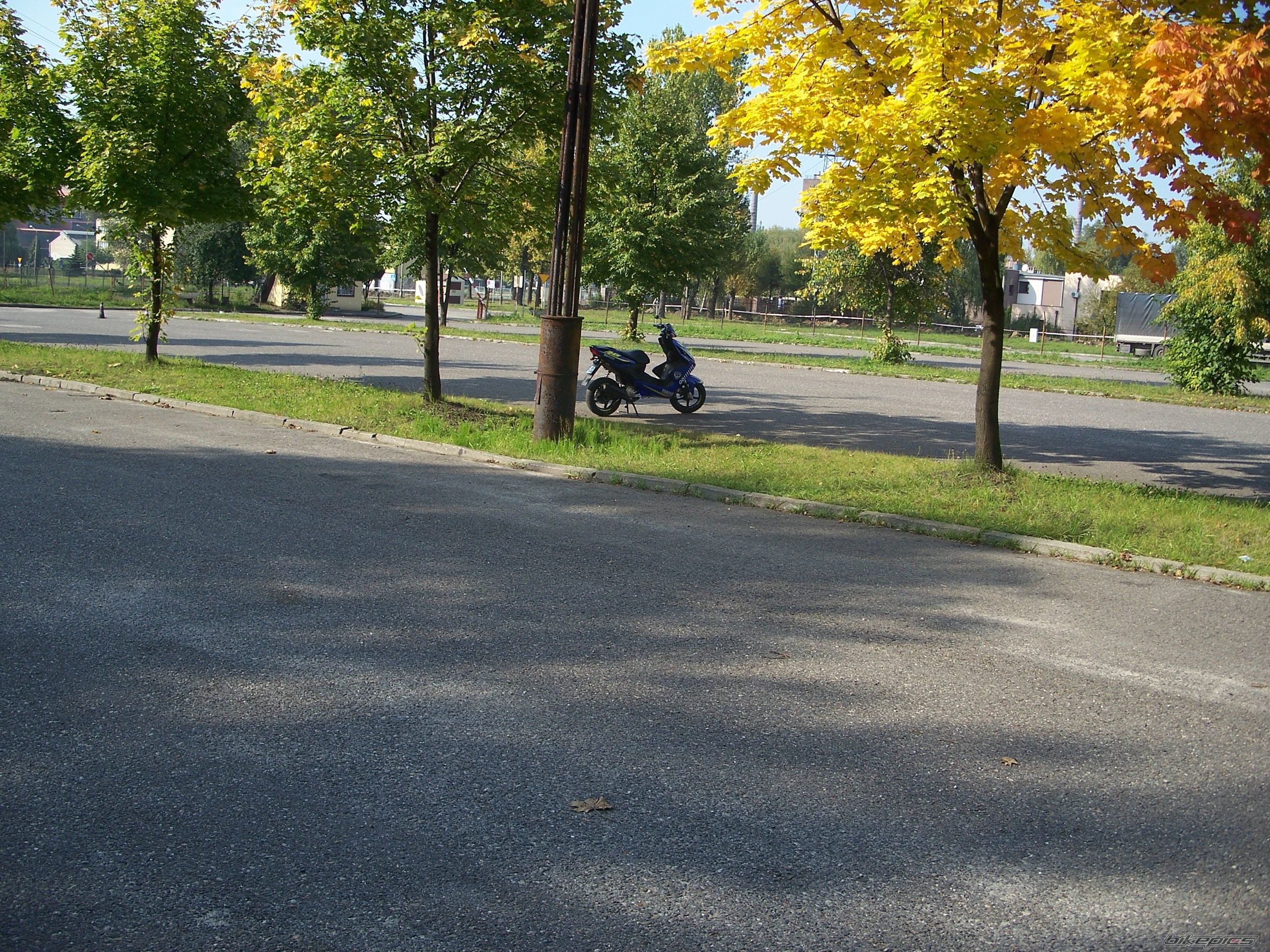 Photo 1433005