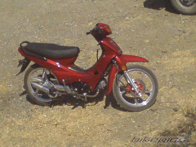 Photo 1433022