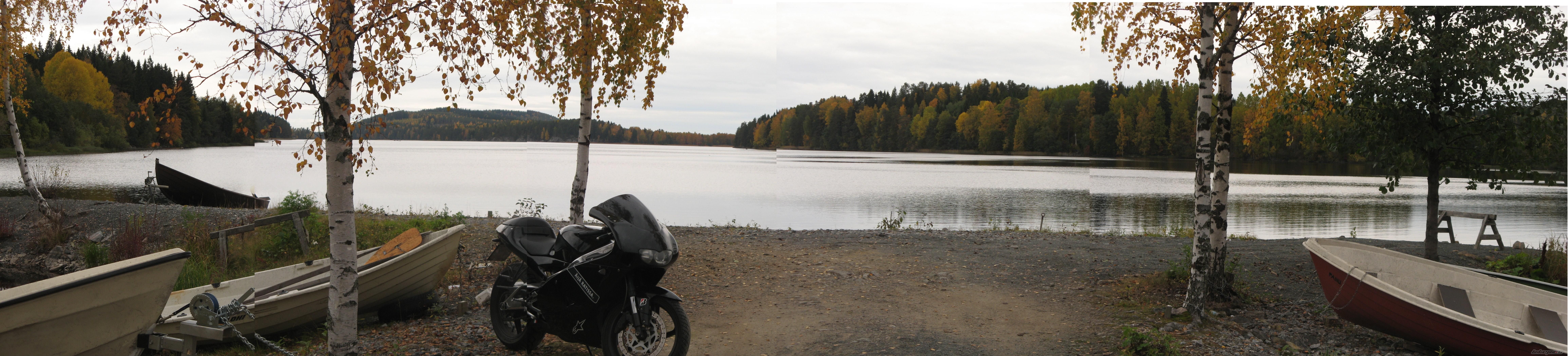 Photo 1433059