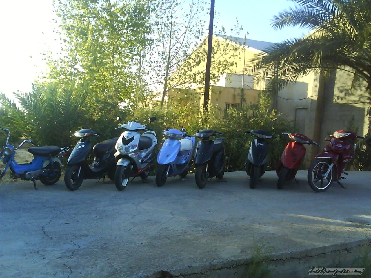Photo 1433072