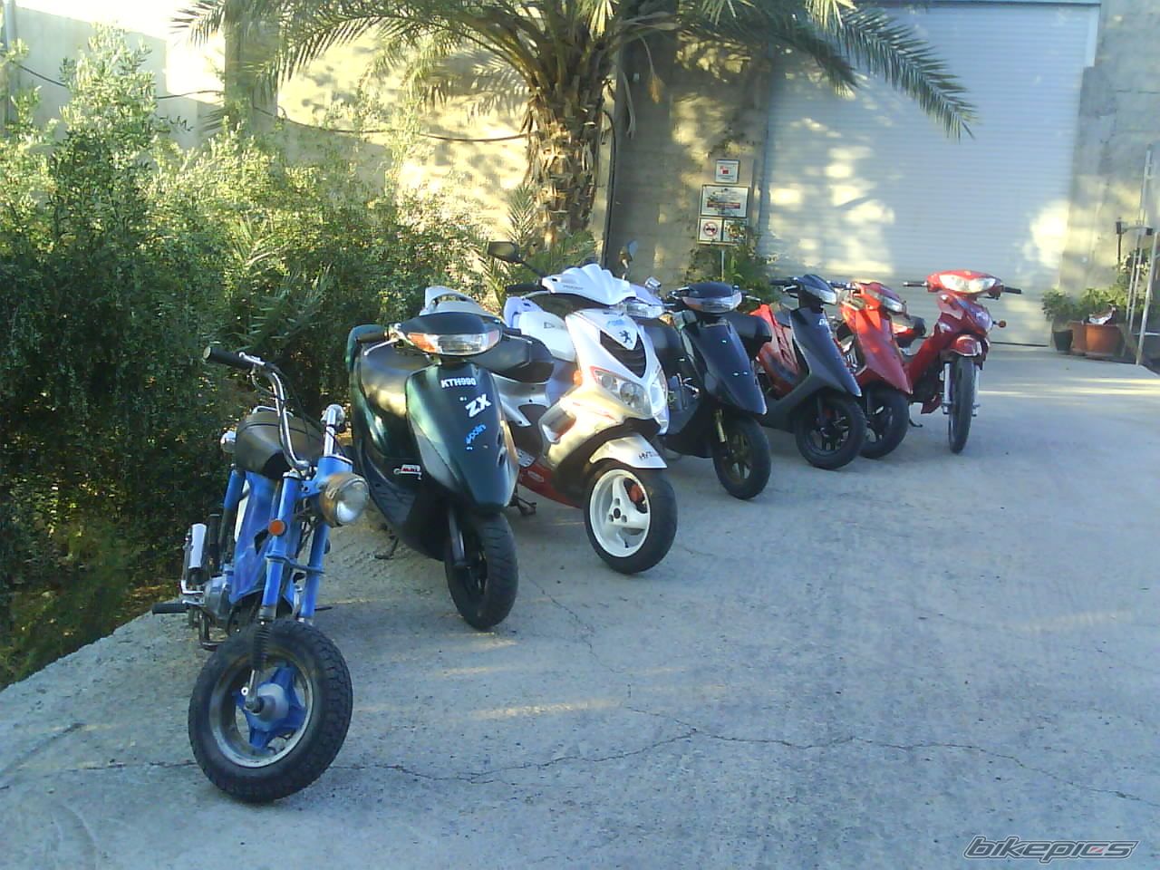 Photo 1433074