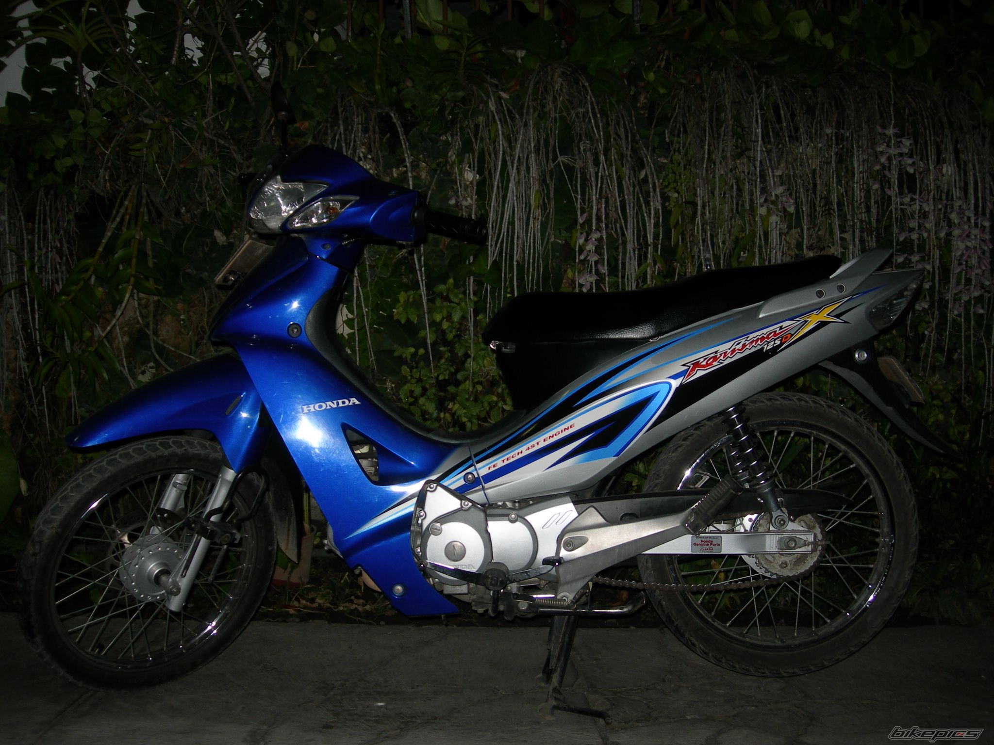 Photo 1433109
