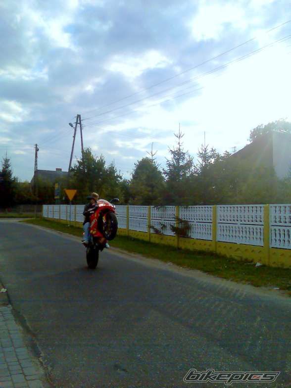 Photo 1433162