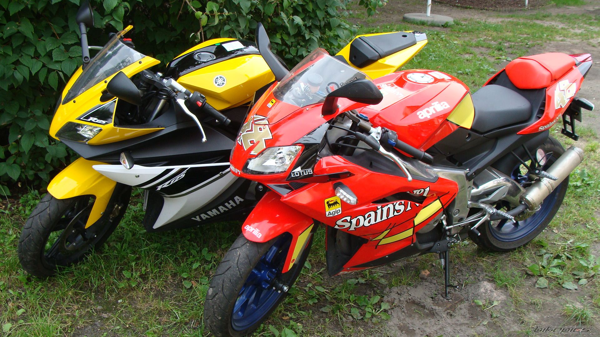 Photo 1433210