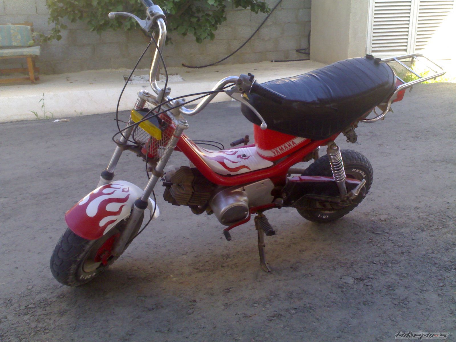 Photo 1433226