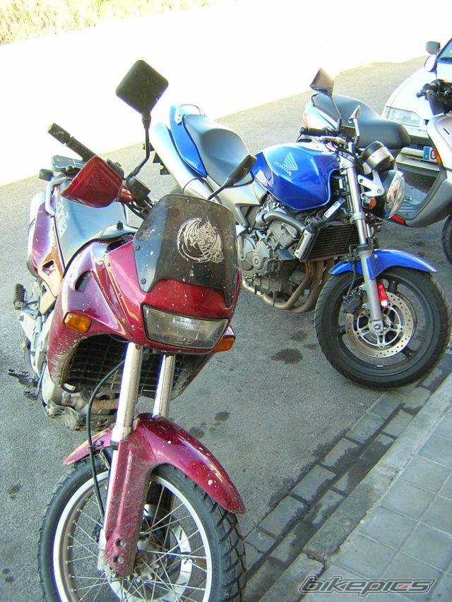 Photo 143325