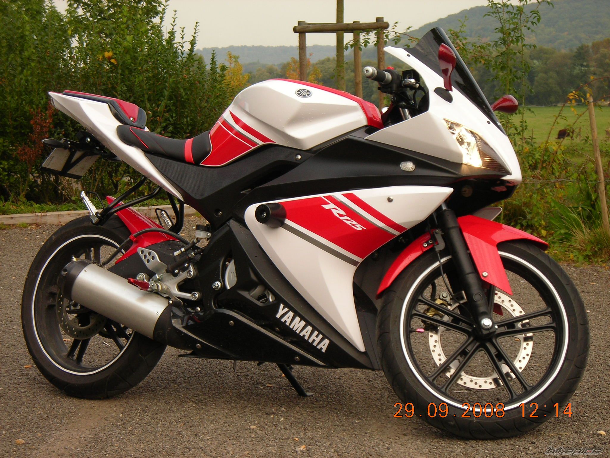 Photo 1433310