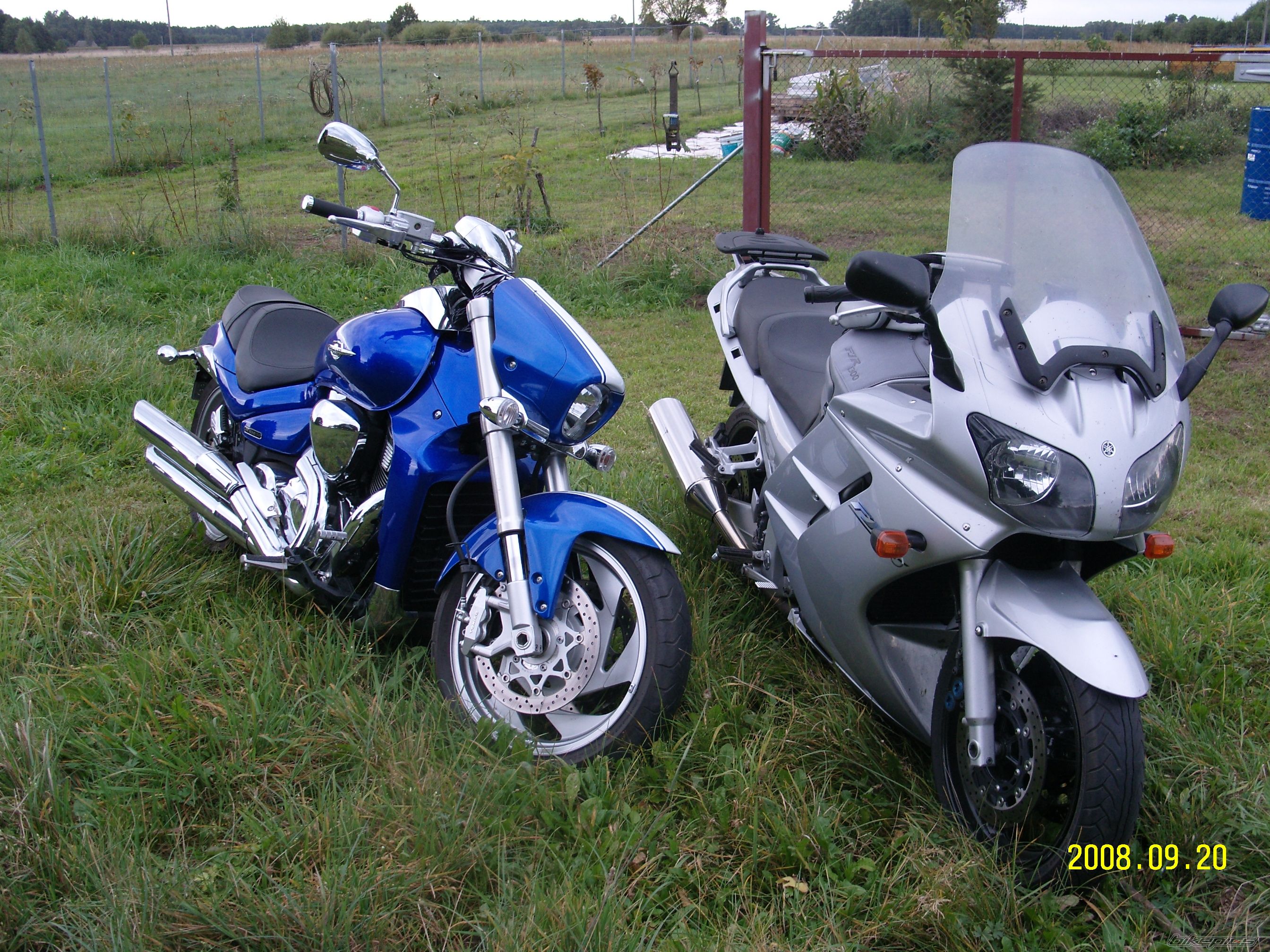 Photo 1433349
