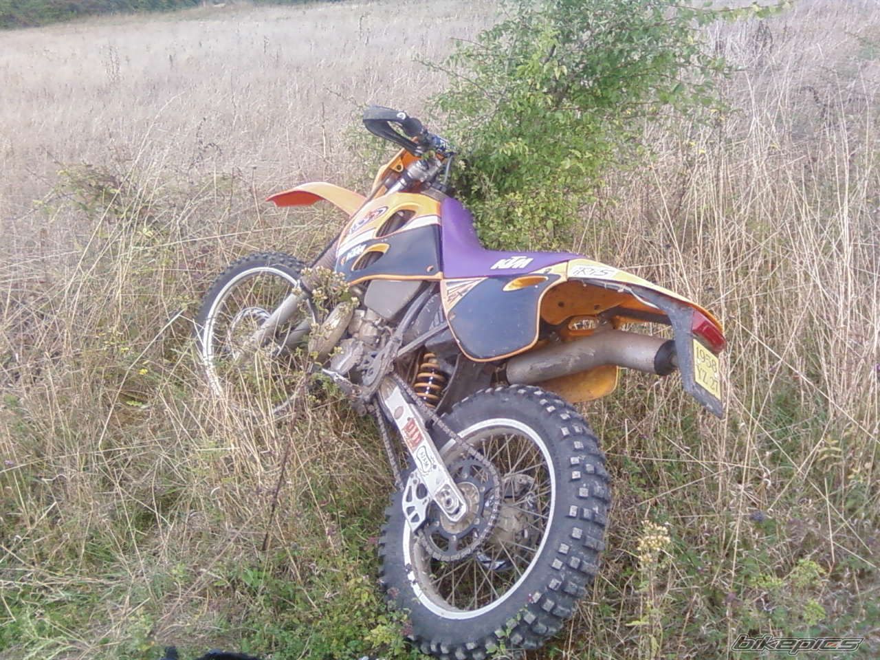 Photo 1433353