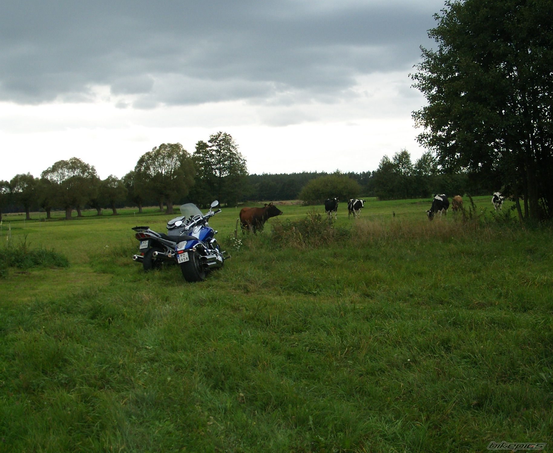 Photo 1433419
