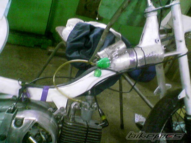 Photo 1433446