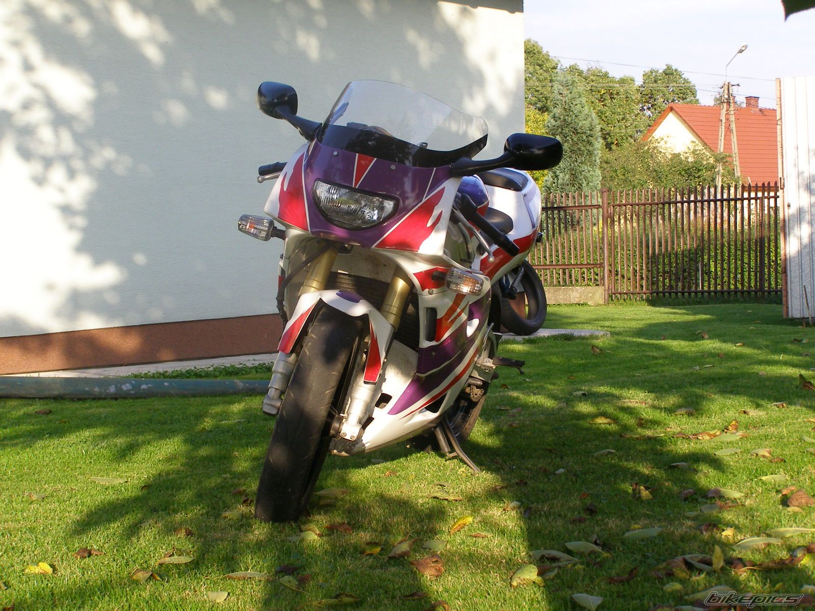 Photo 1433464