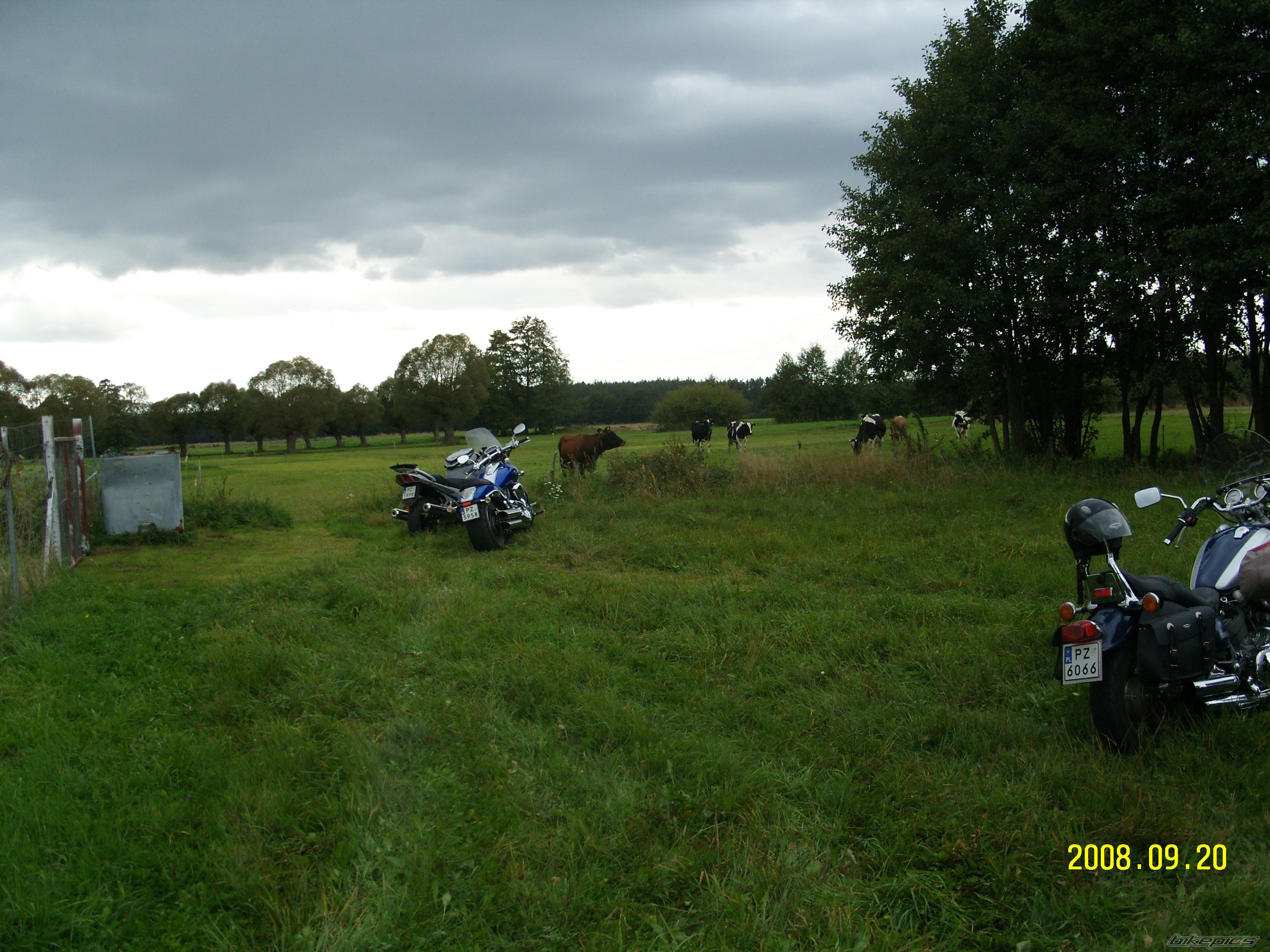 Photo 1433467