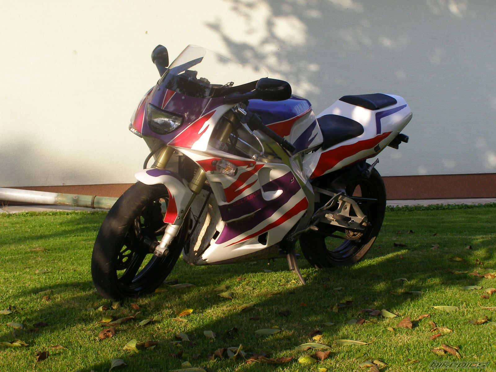 Photo 1433468
