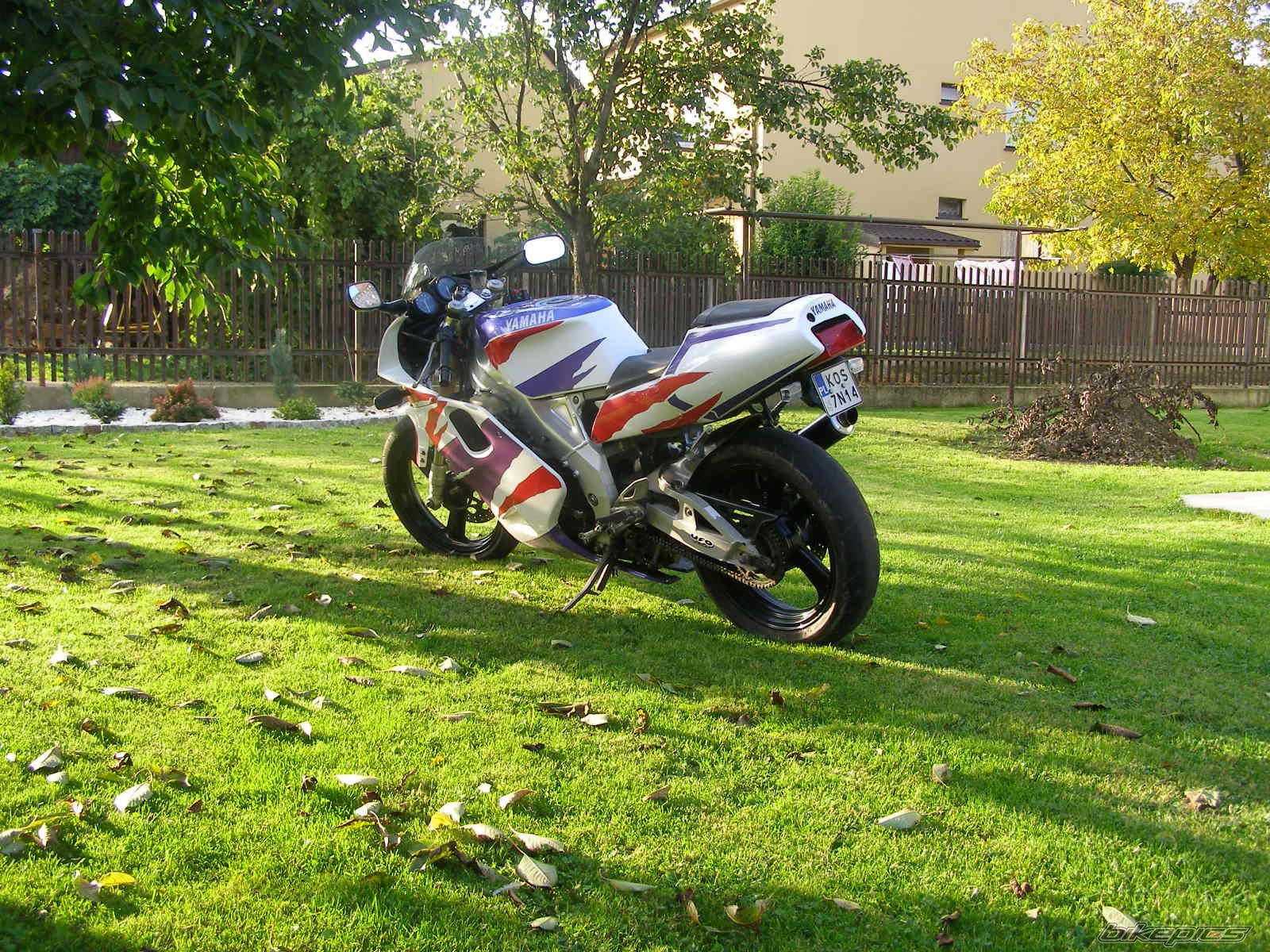 Photo 1433479