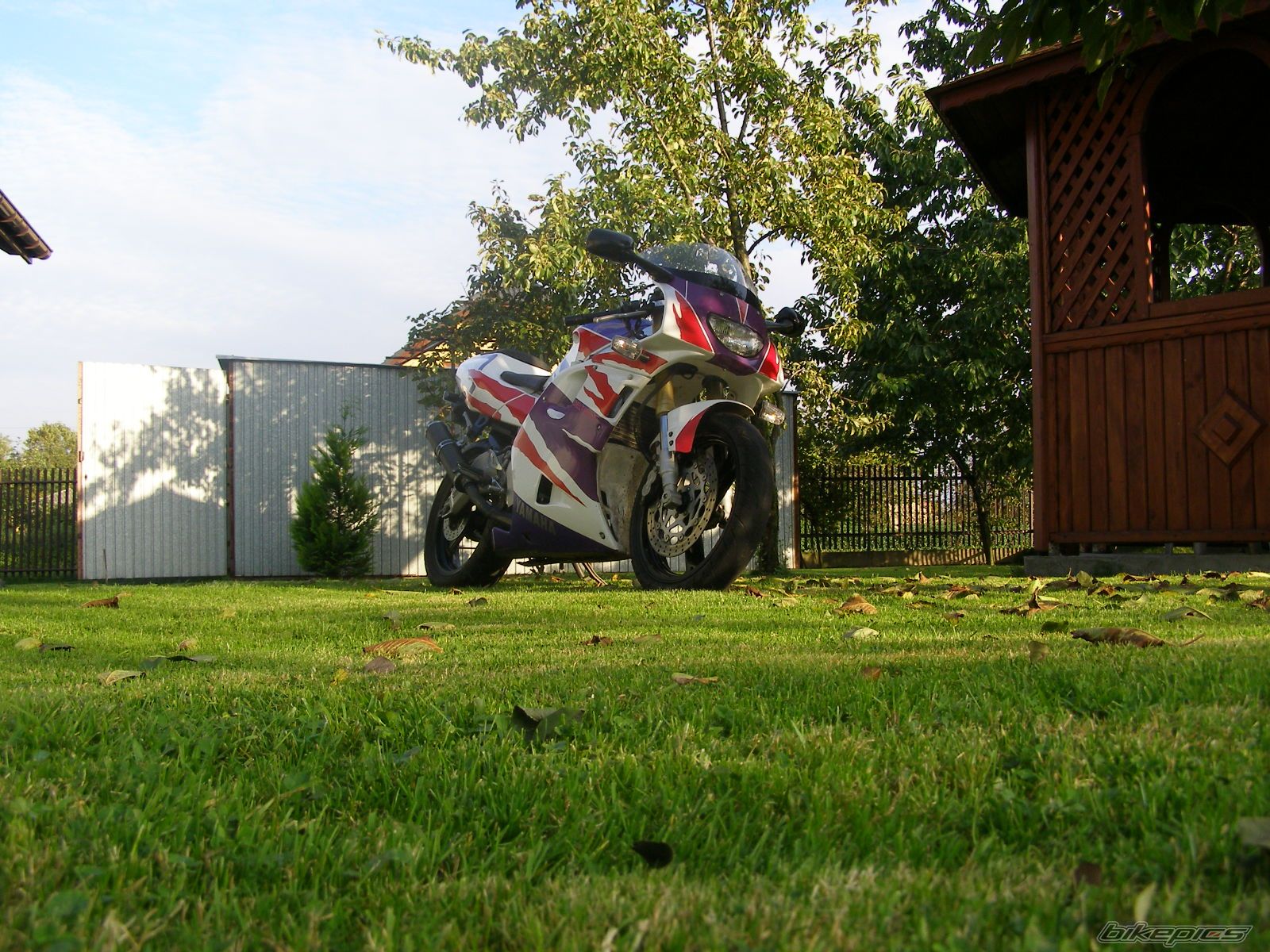Photo 1433482