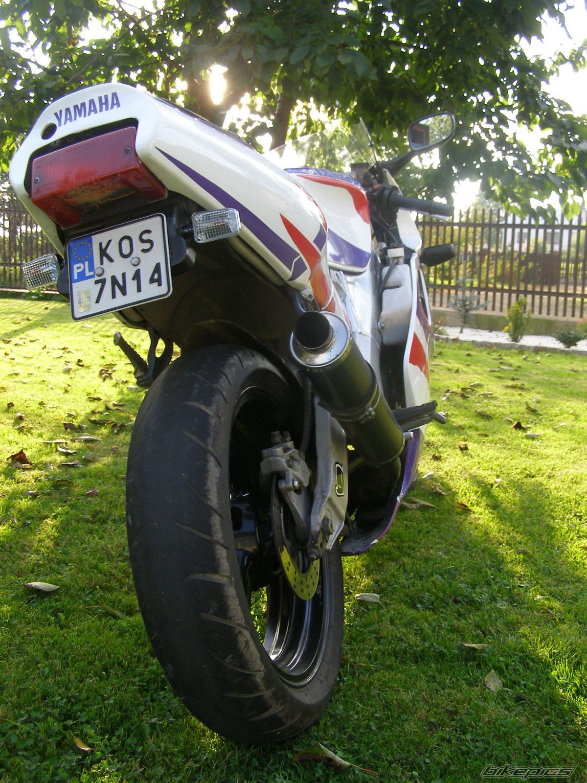 Photo 1433489