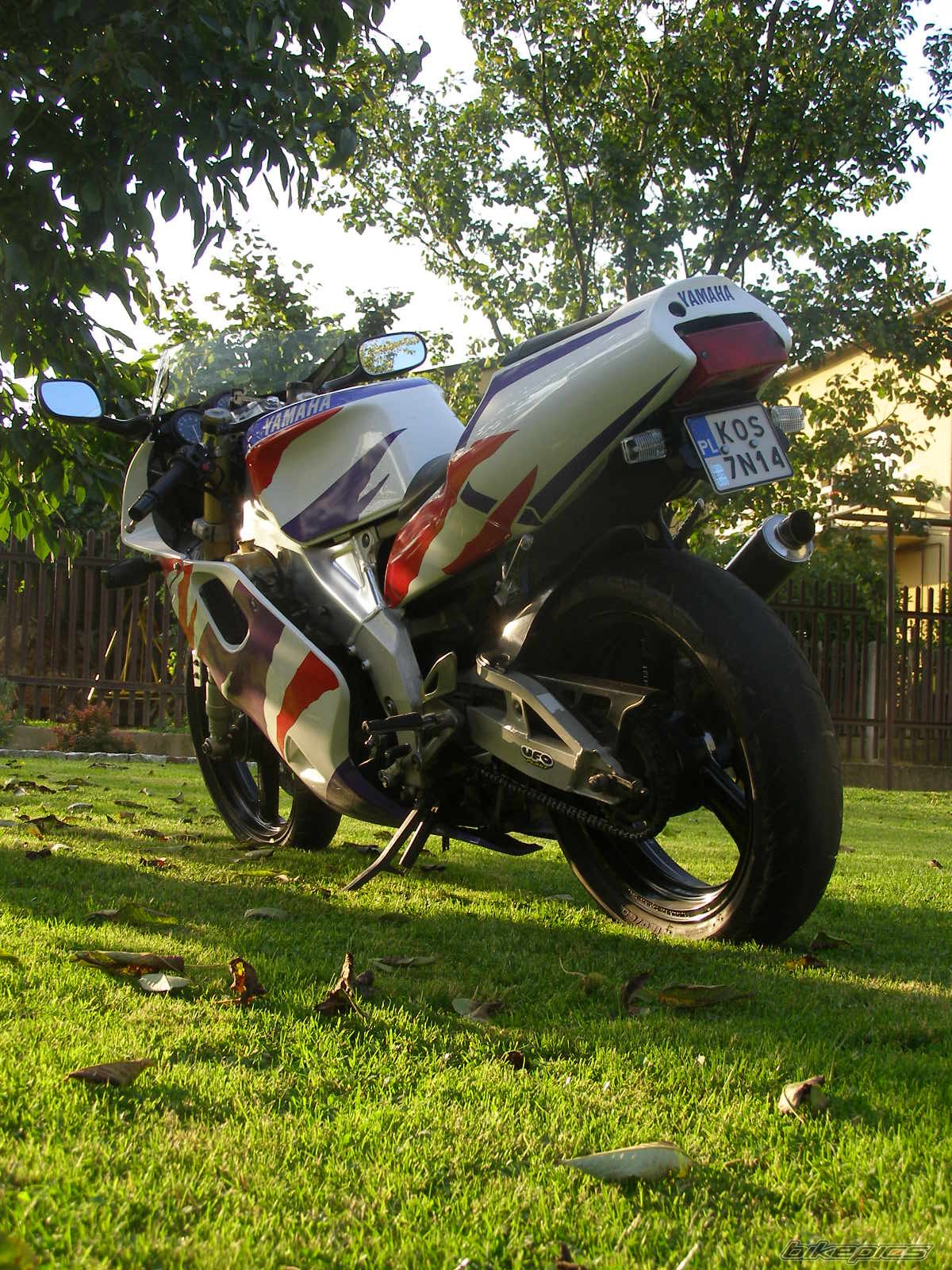 Photo 1433493