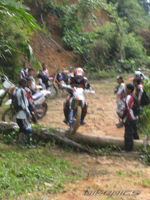 Photo 1433532