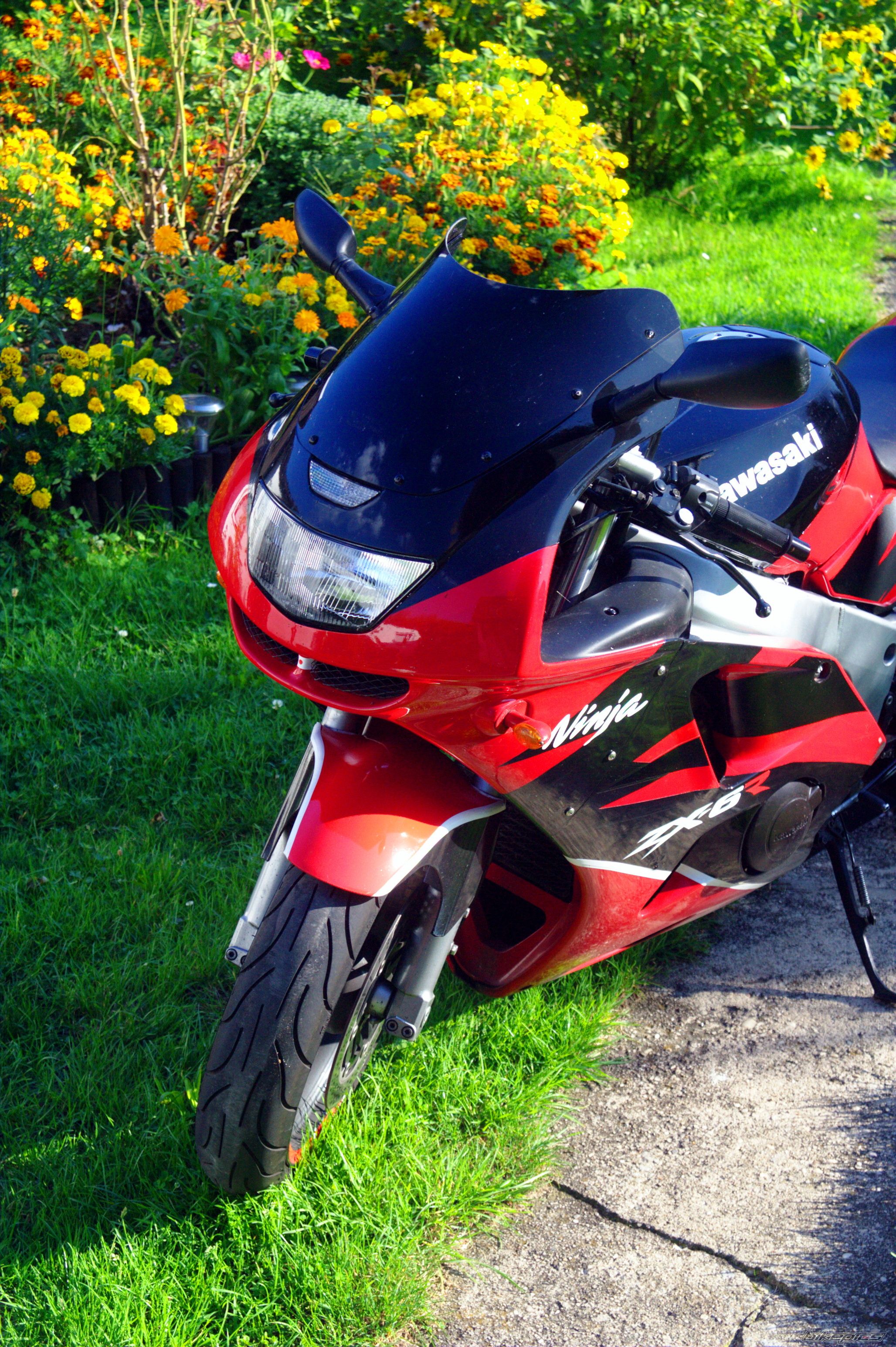 Photo 1433546