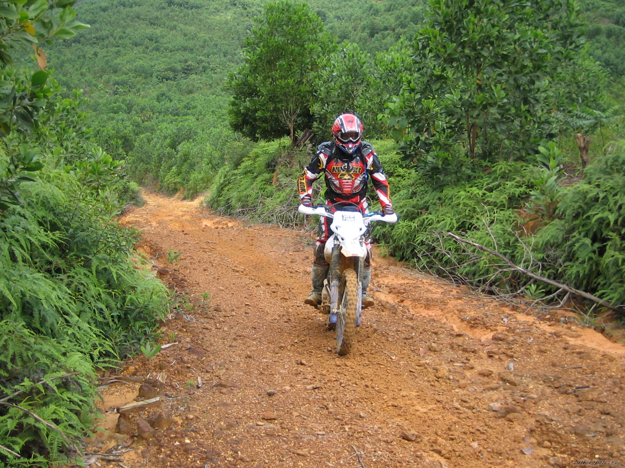 Bike Photo 1433547