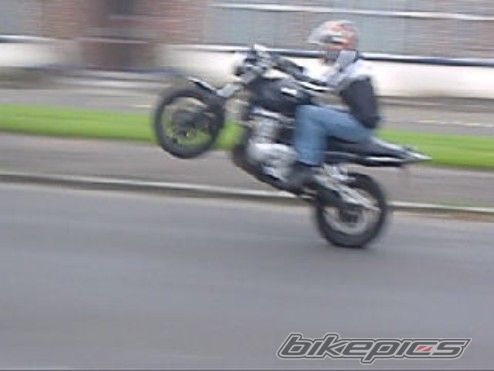 Photo 1433565