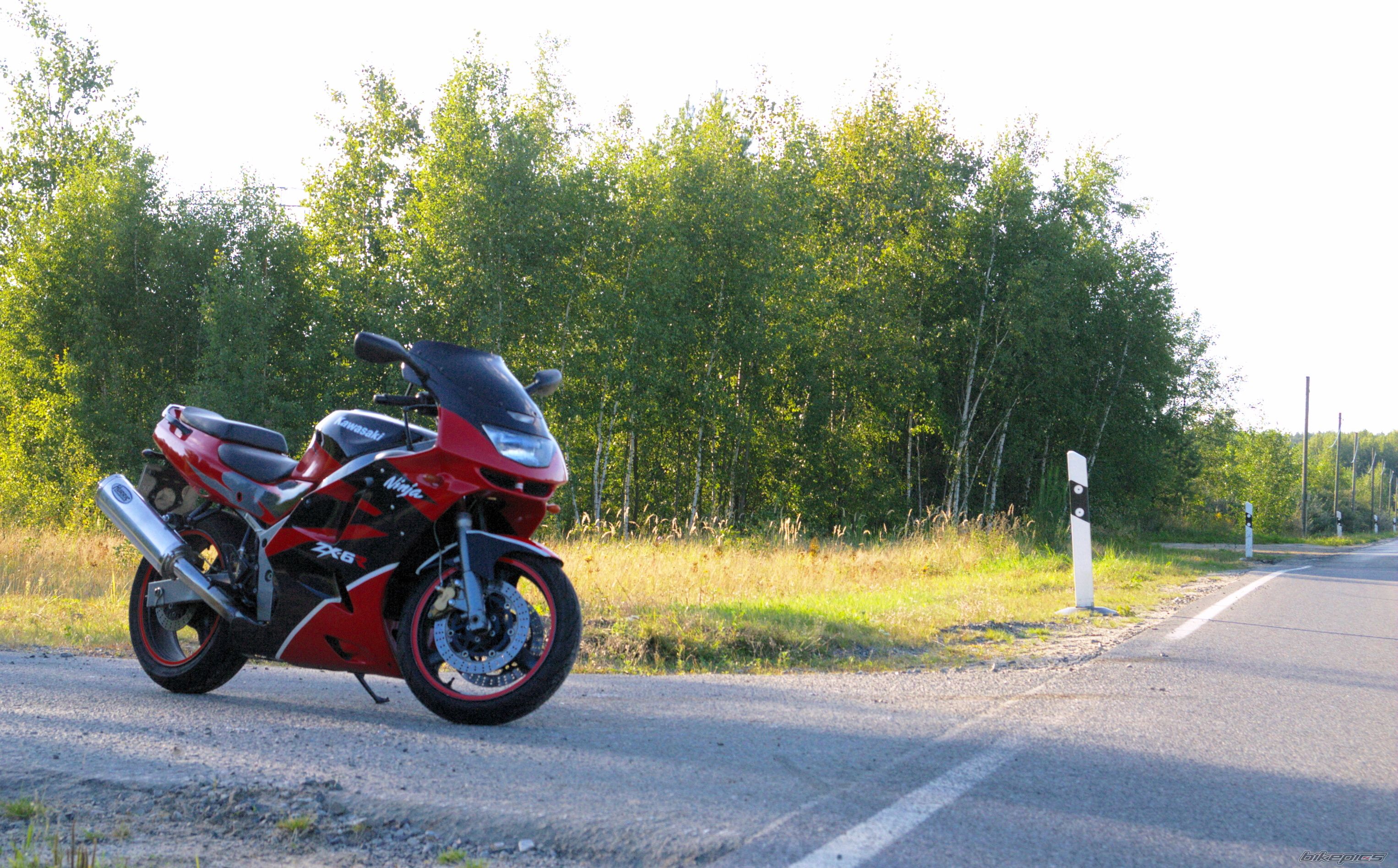 Photo 1433570
