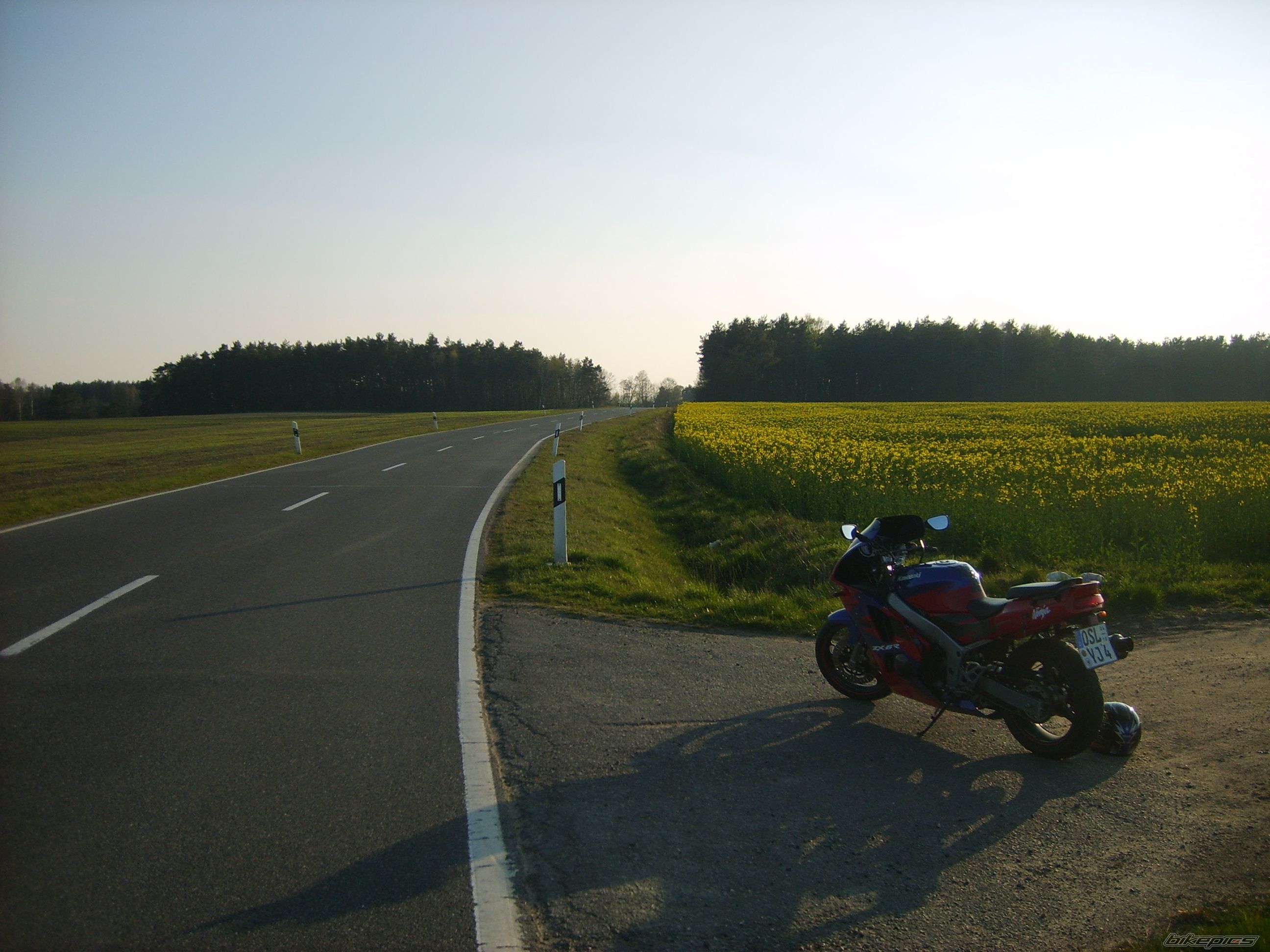 Photo 1433572