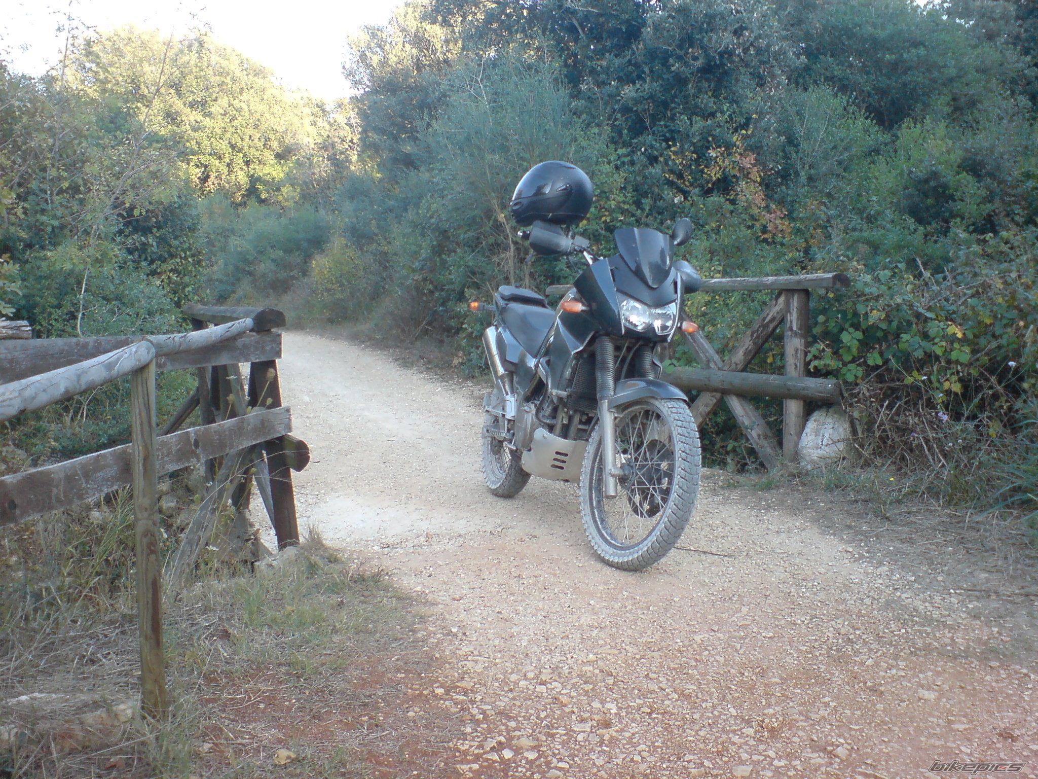 Photo 1433581