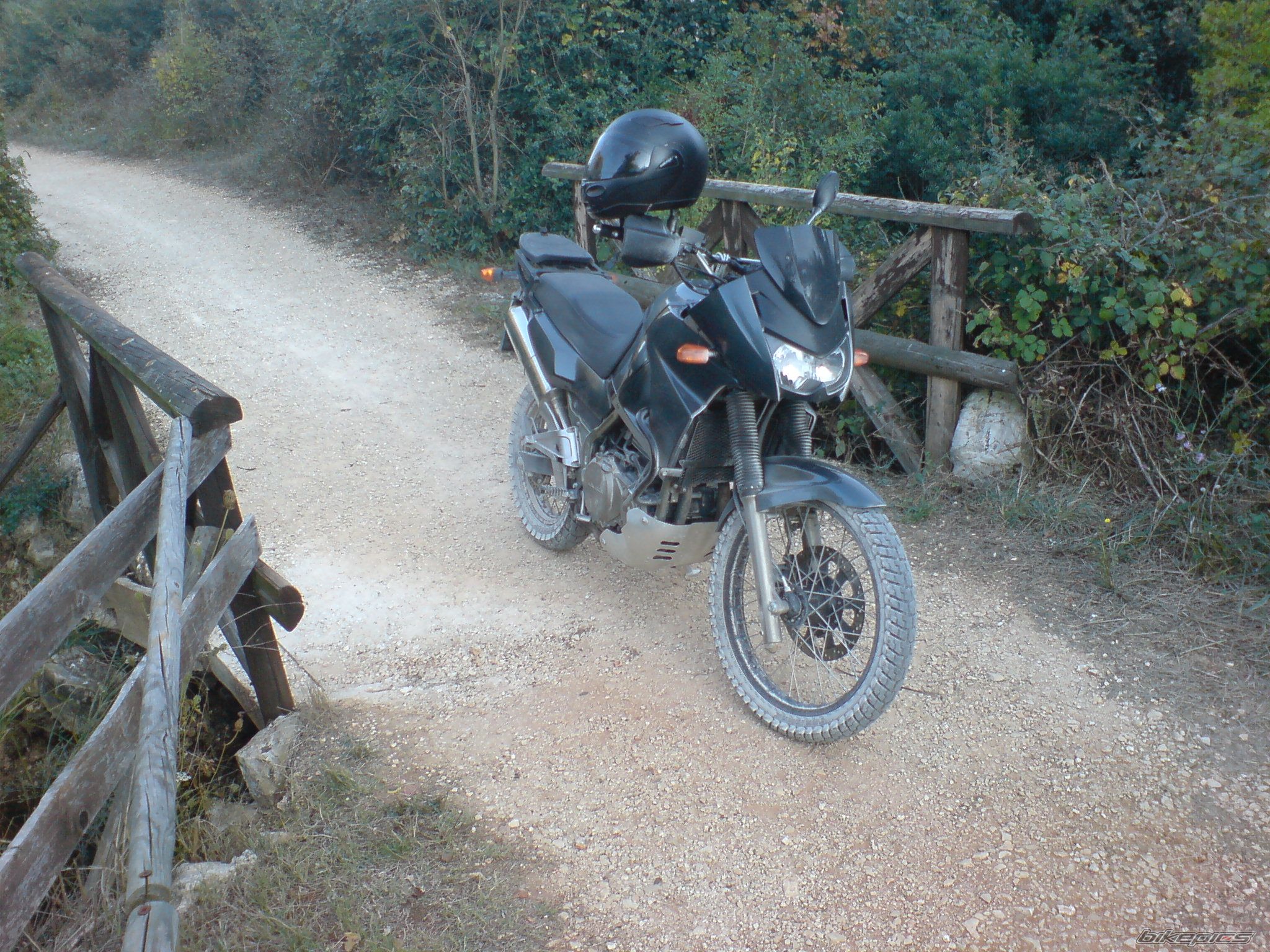 Photo 1433584