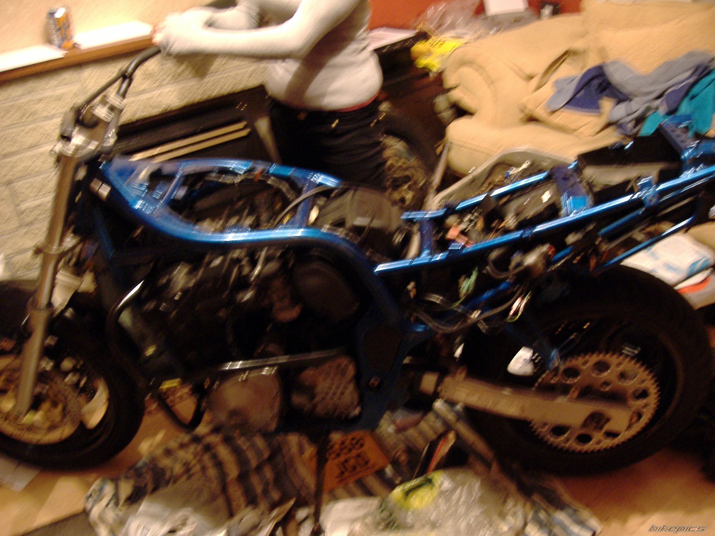 Photo 1433628