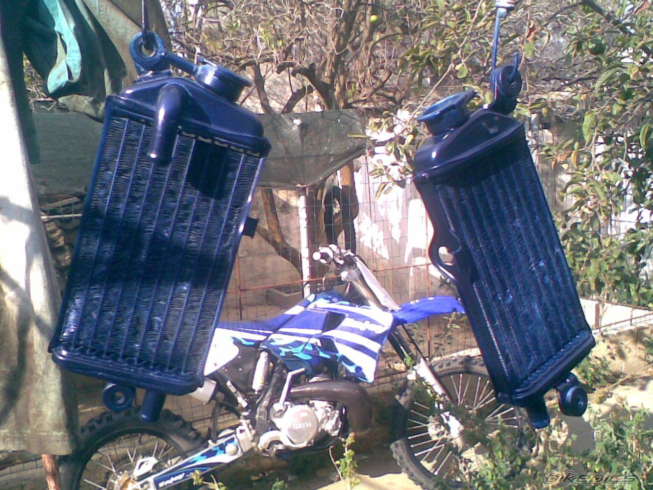 Photo 1433637