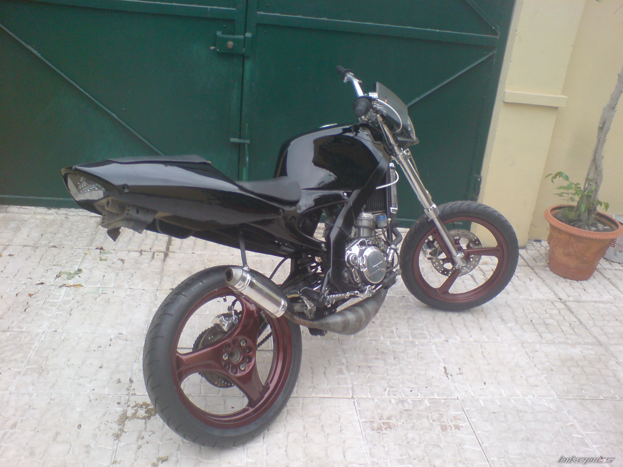 Photo 1433702
