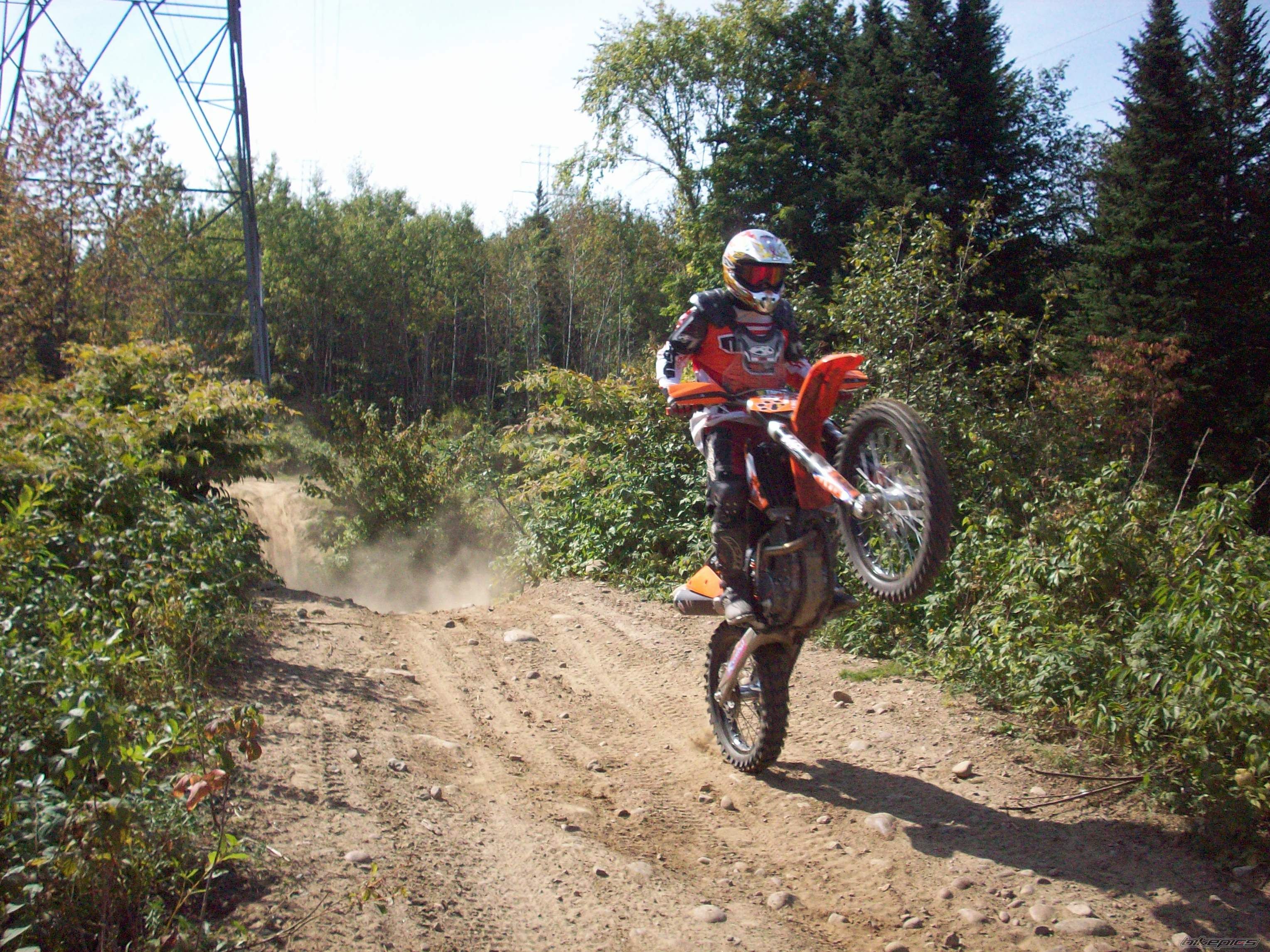 Photo 1433740