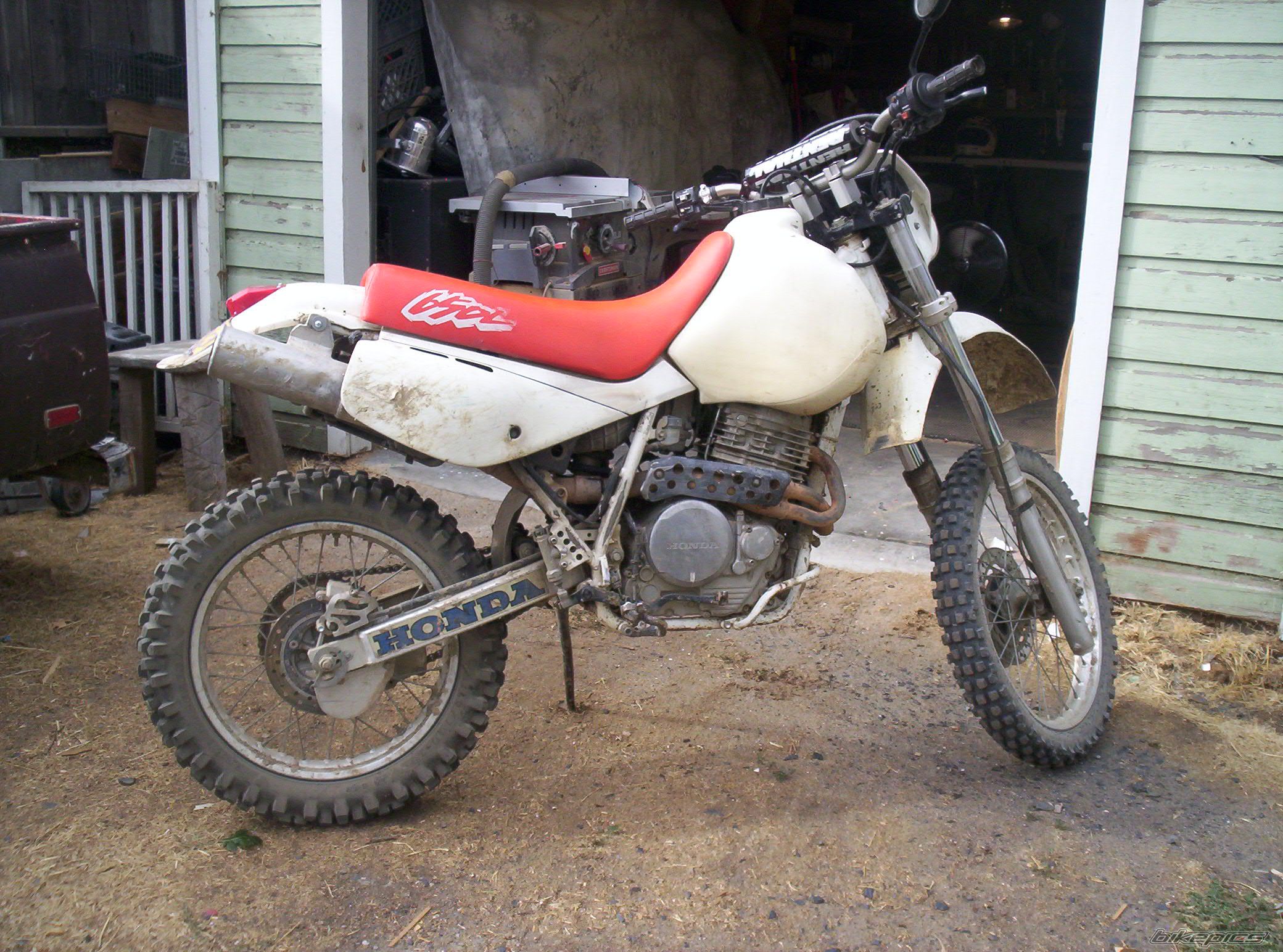 Photo 1433827