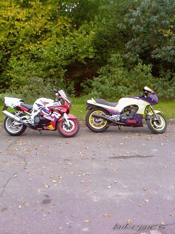 Photo 1433867