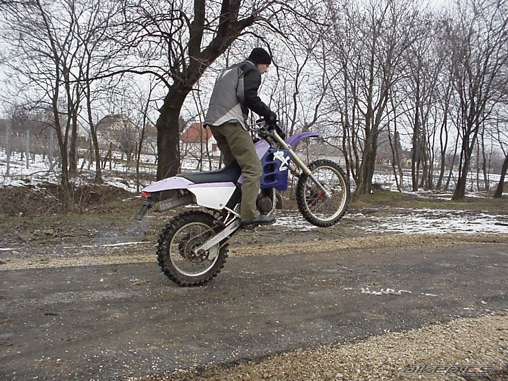 Photo 1433922