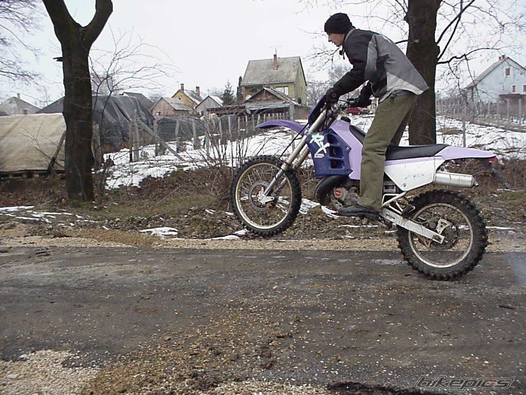 Photo 1433923
