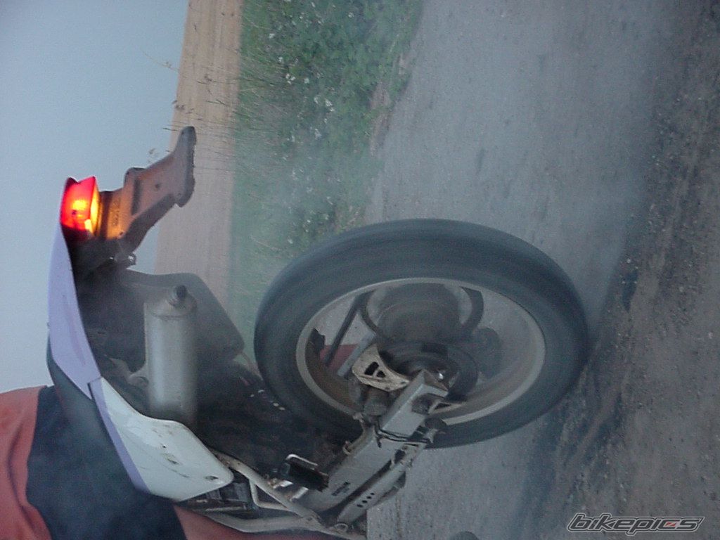Photo 1433924