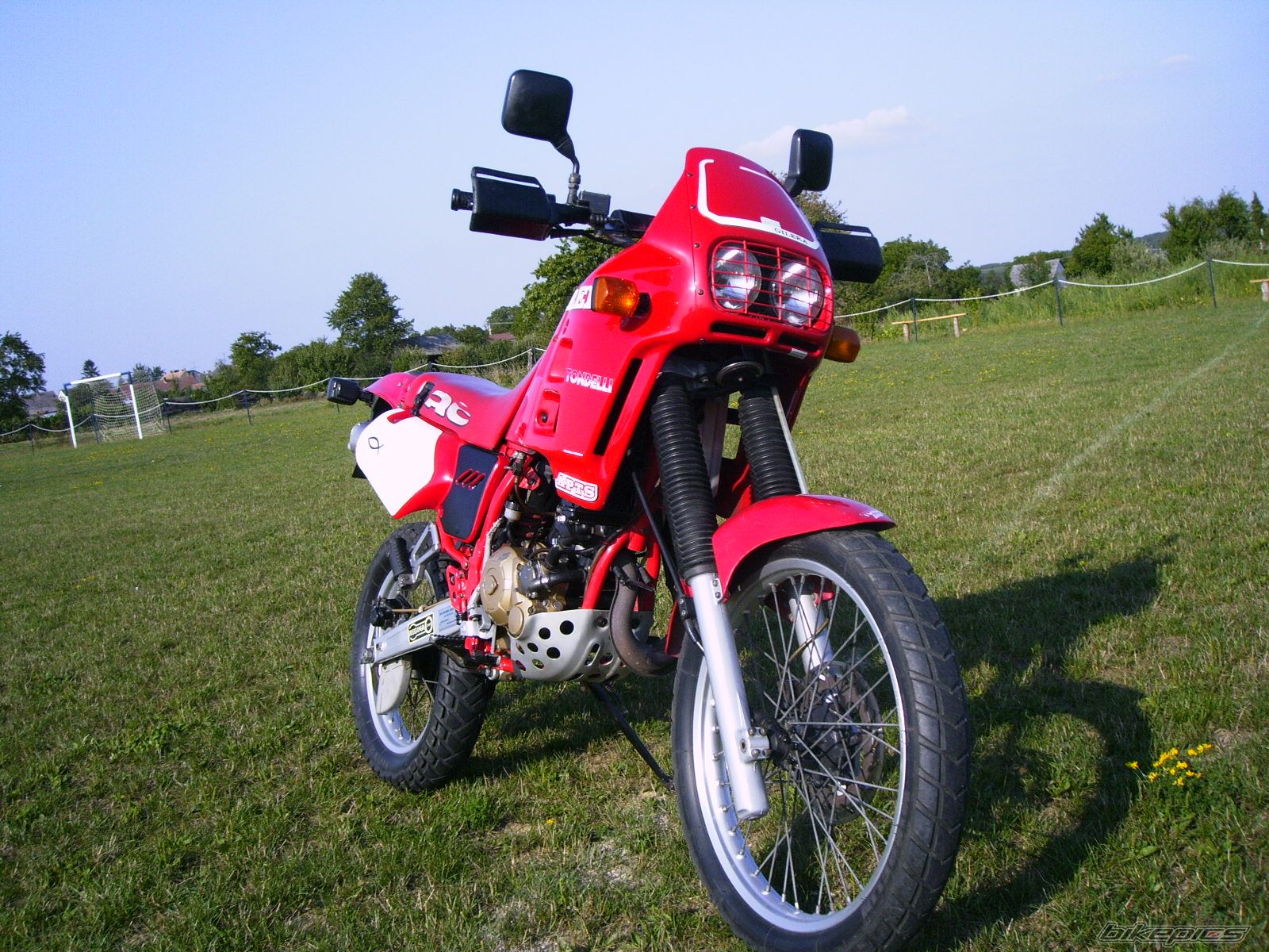Photo 1433982