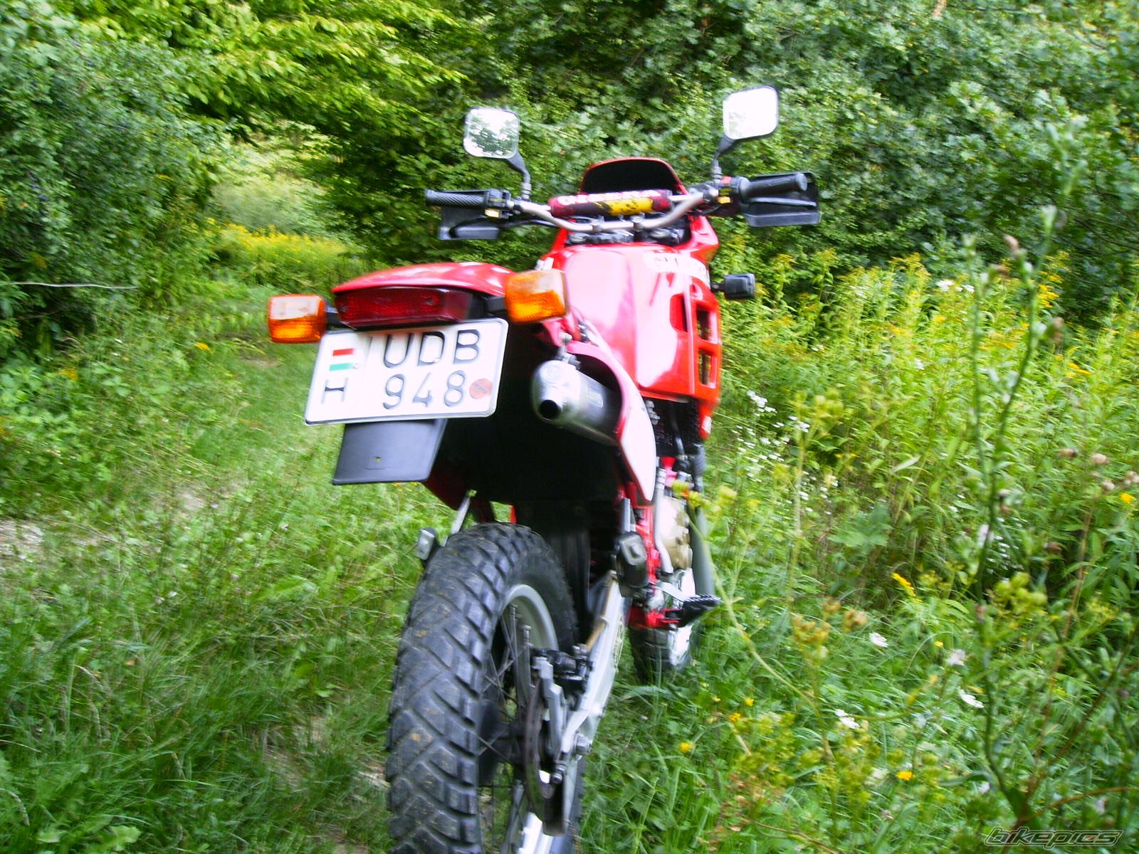 Photo 1433985