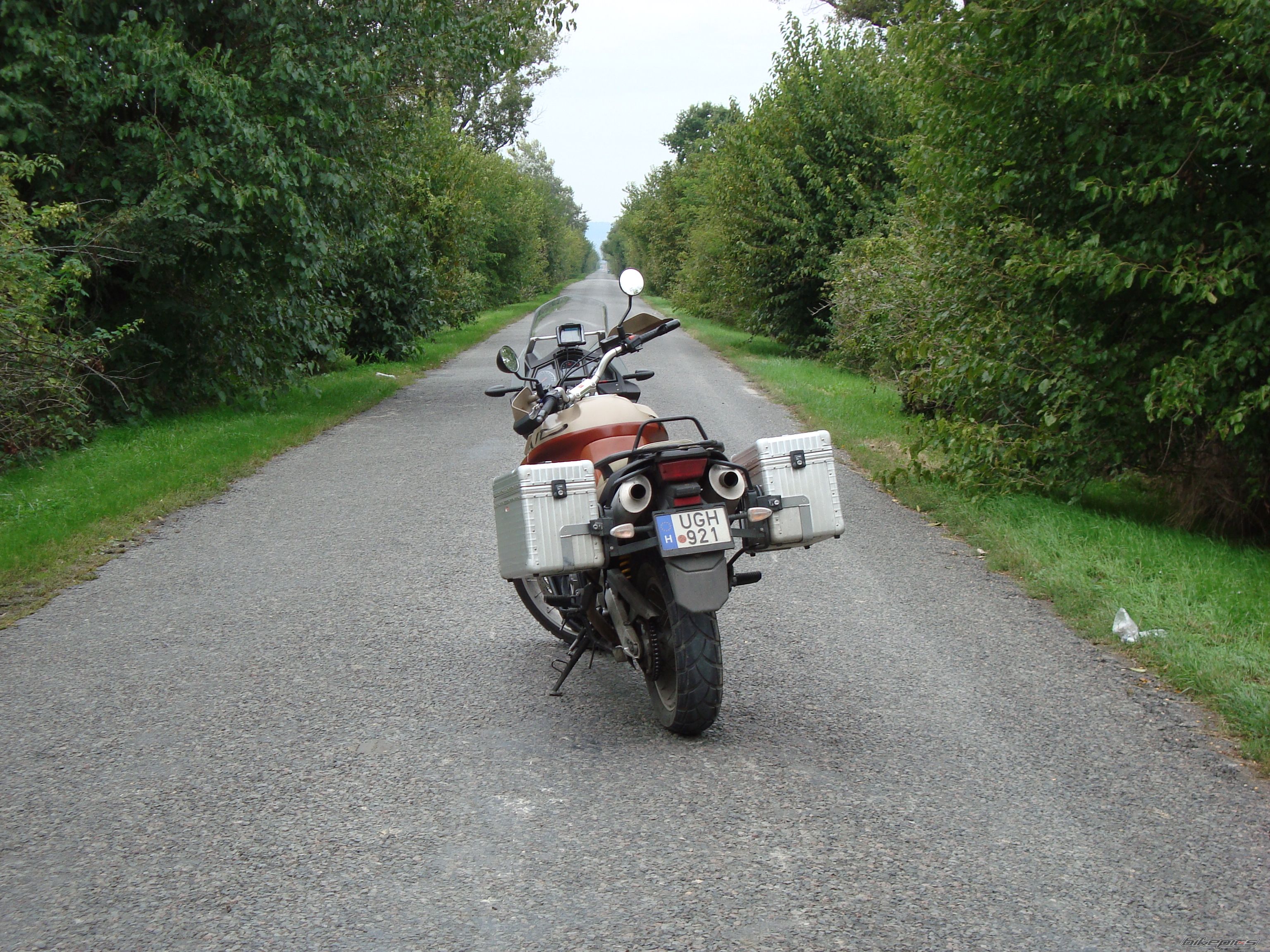 Photo 1433986