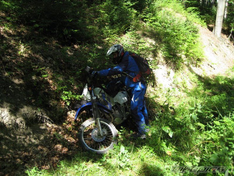 Photo 1433993