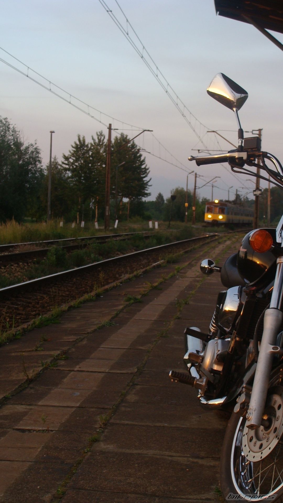 Photo 1434132