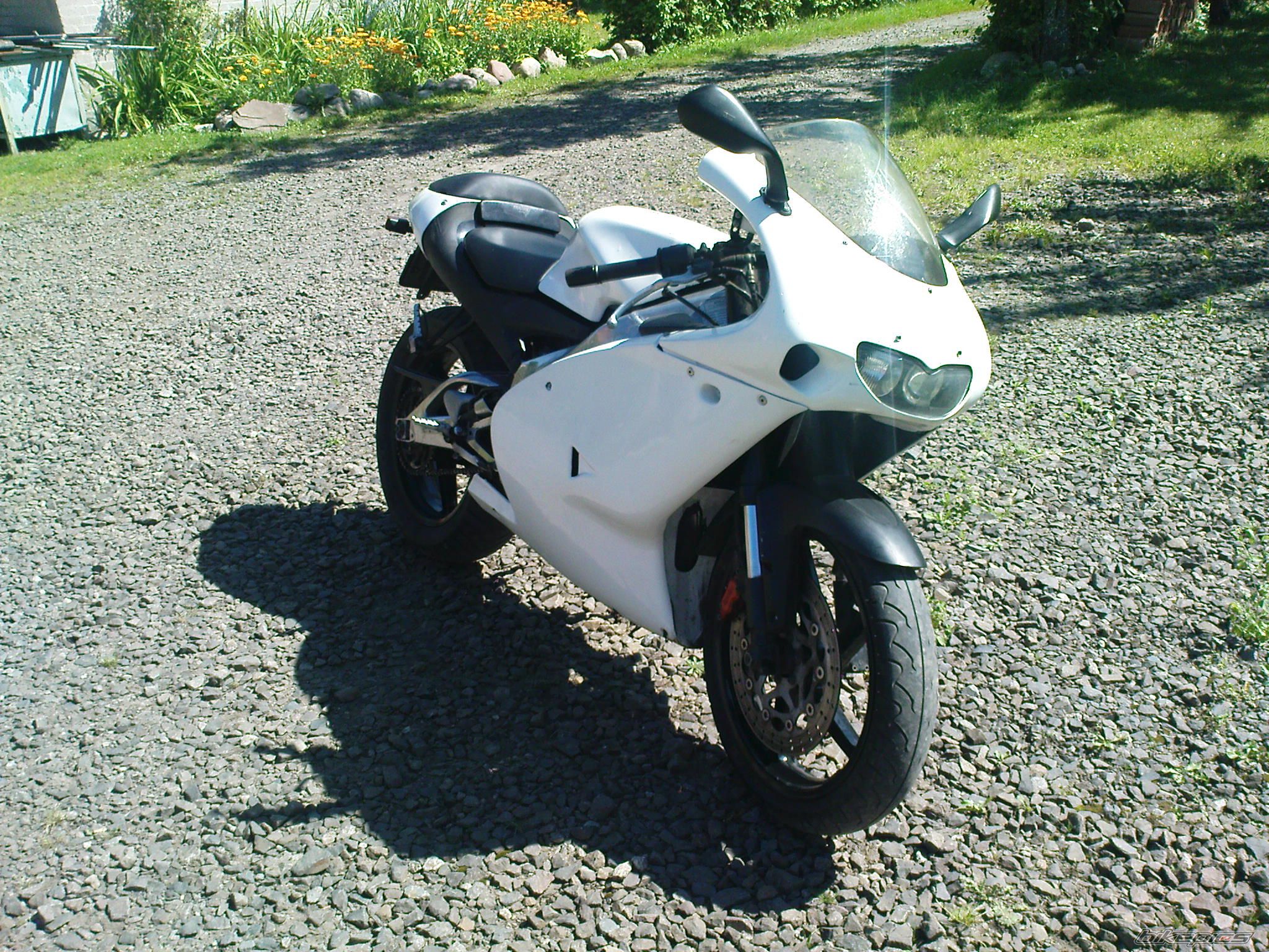 Photo 1434401