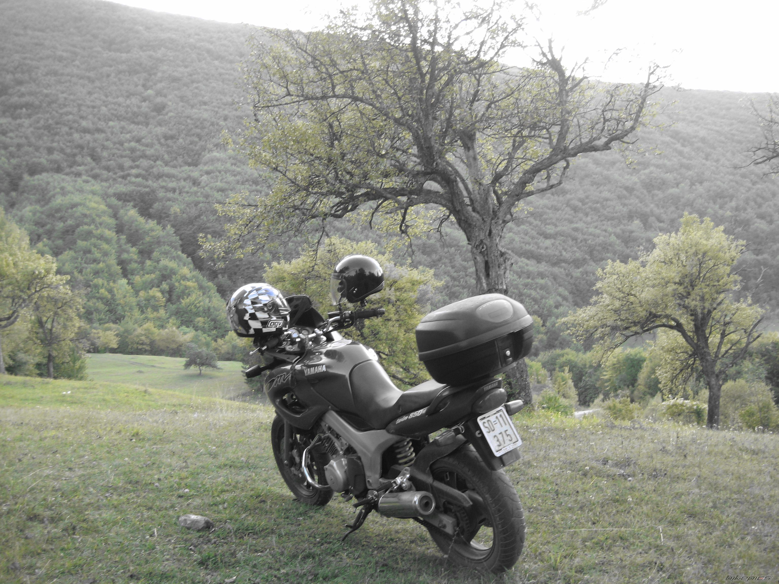 Photo 1434447