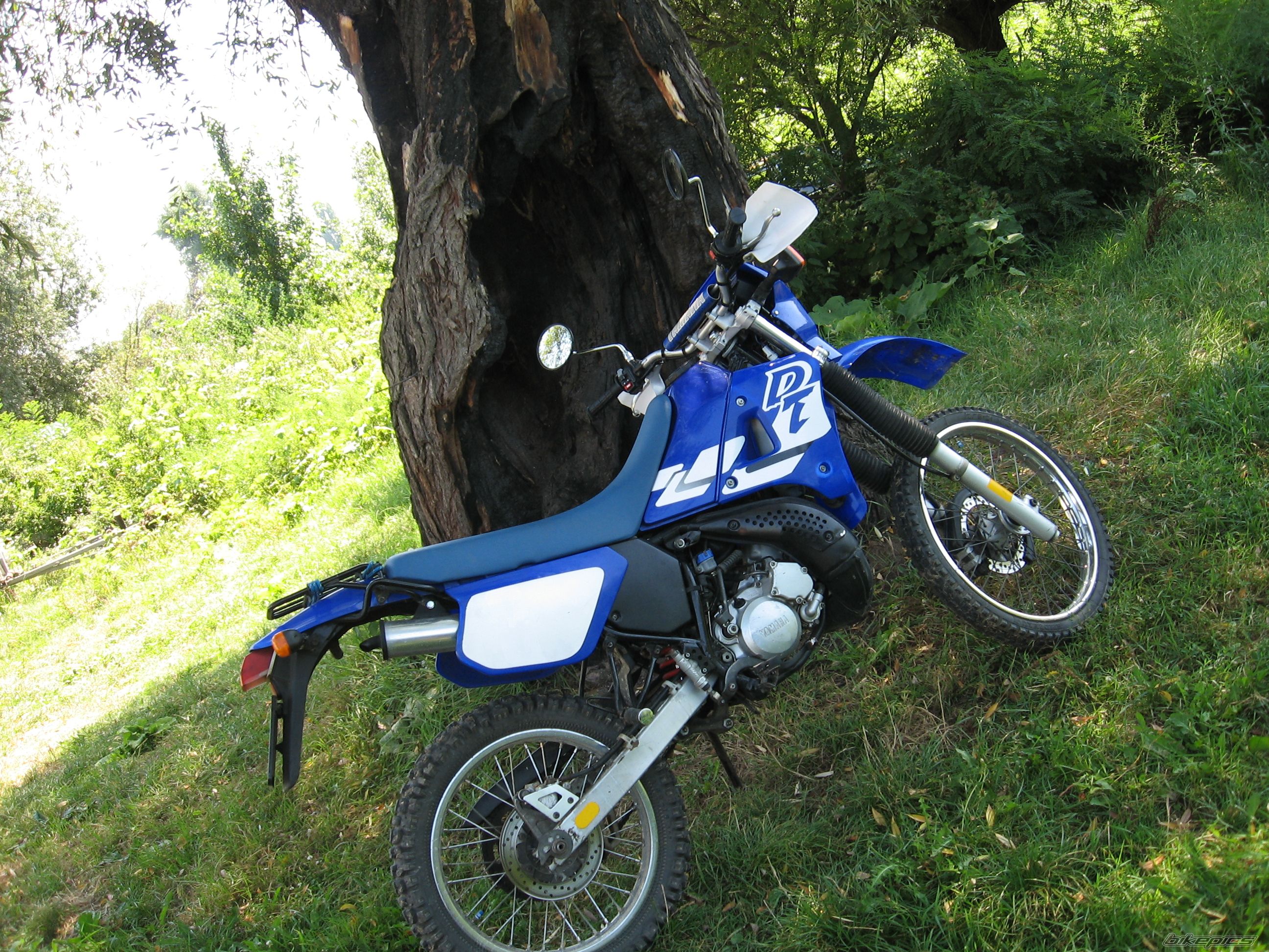Photo 1434448
