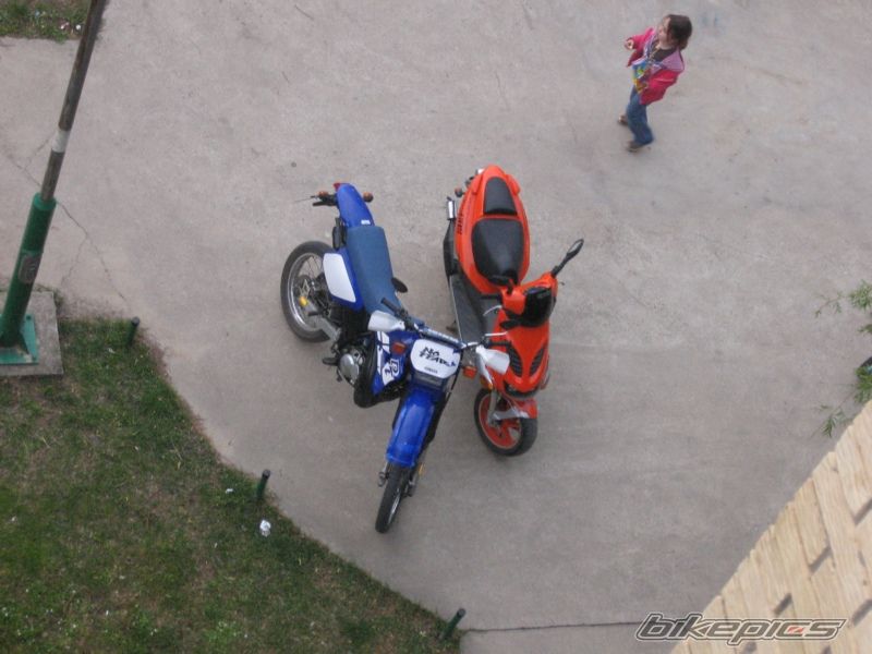 Photo 1434482