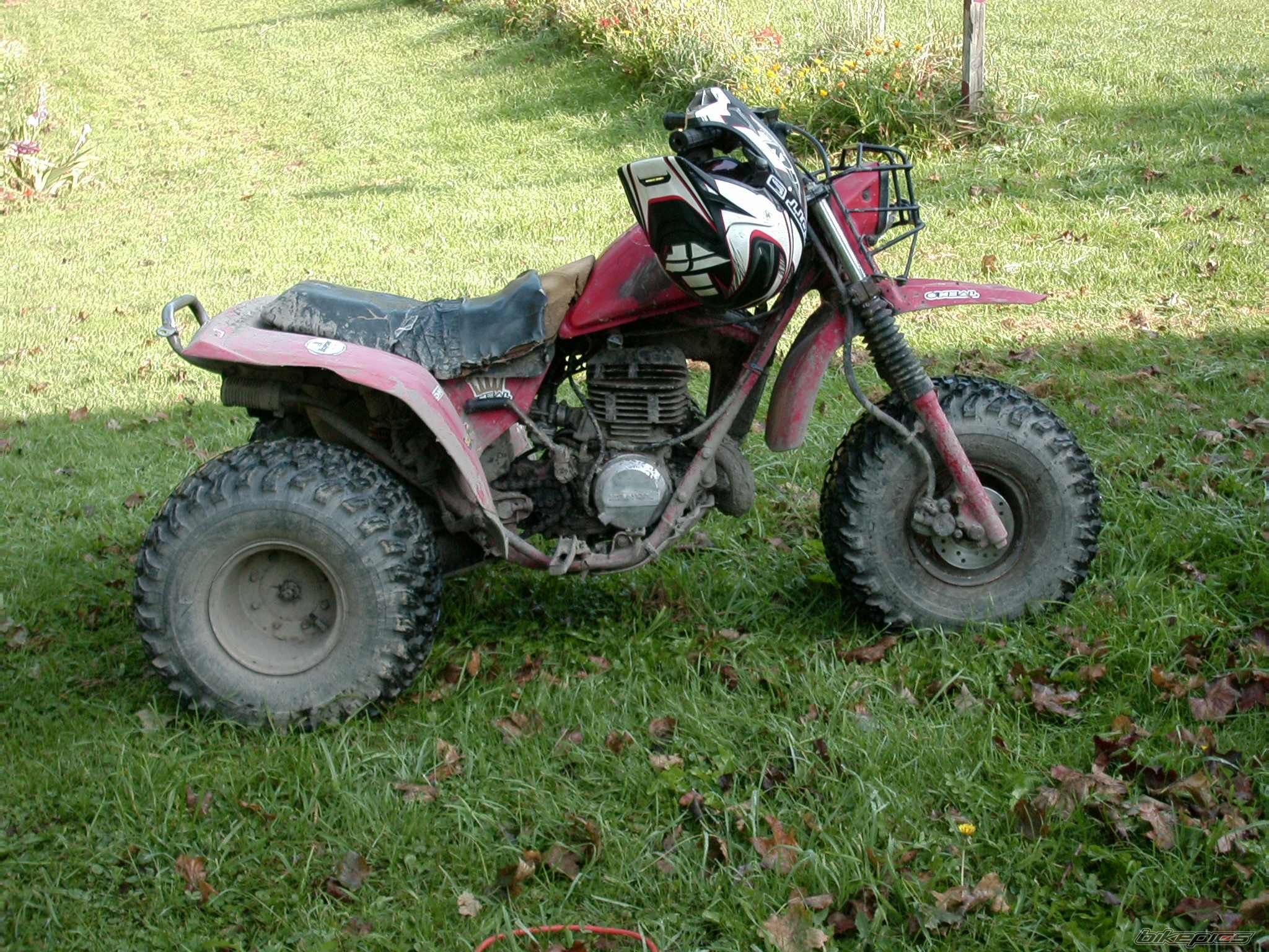 Photo 1434503