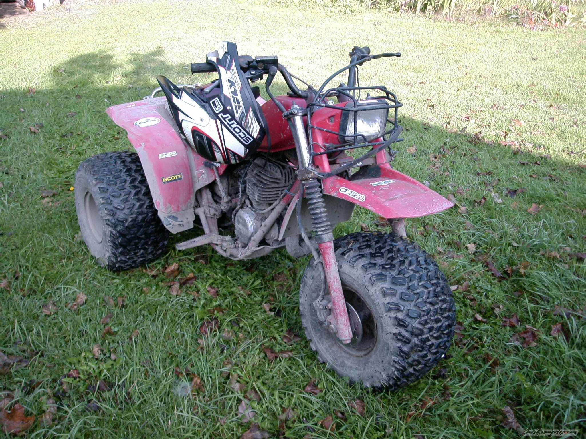 Photo 1434511